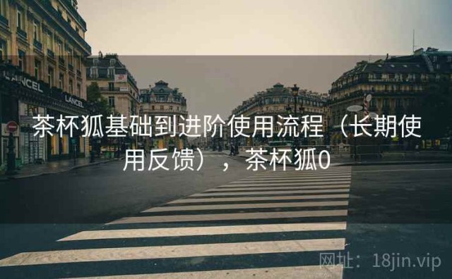 茶杯狐基础到进阶使用流程（长期使用反馈），茶杯狐0