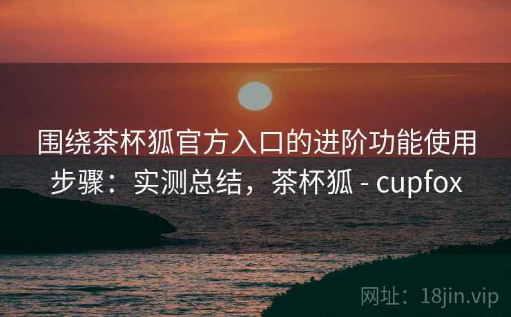 围绕茶杯狐官方入口的进阶功能使用步骤：实测总结，茶杯狐 - cupfox